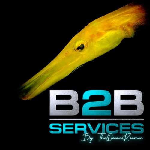 B2B Marine Consulting