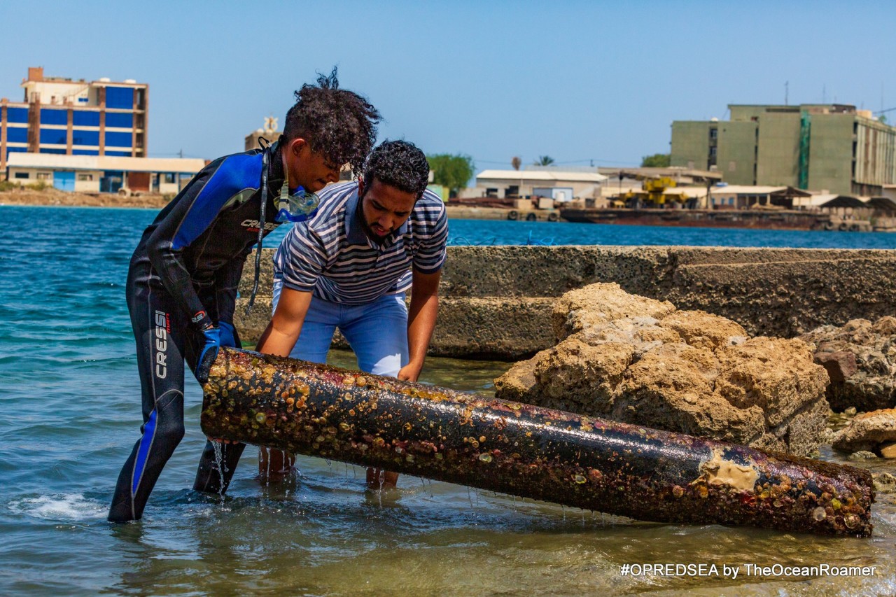 Volunteers removing trash from the Port Sudan harbor